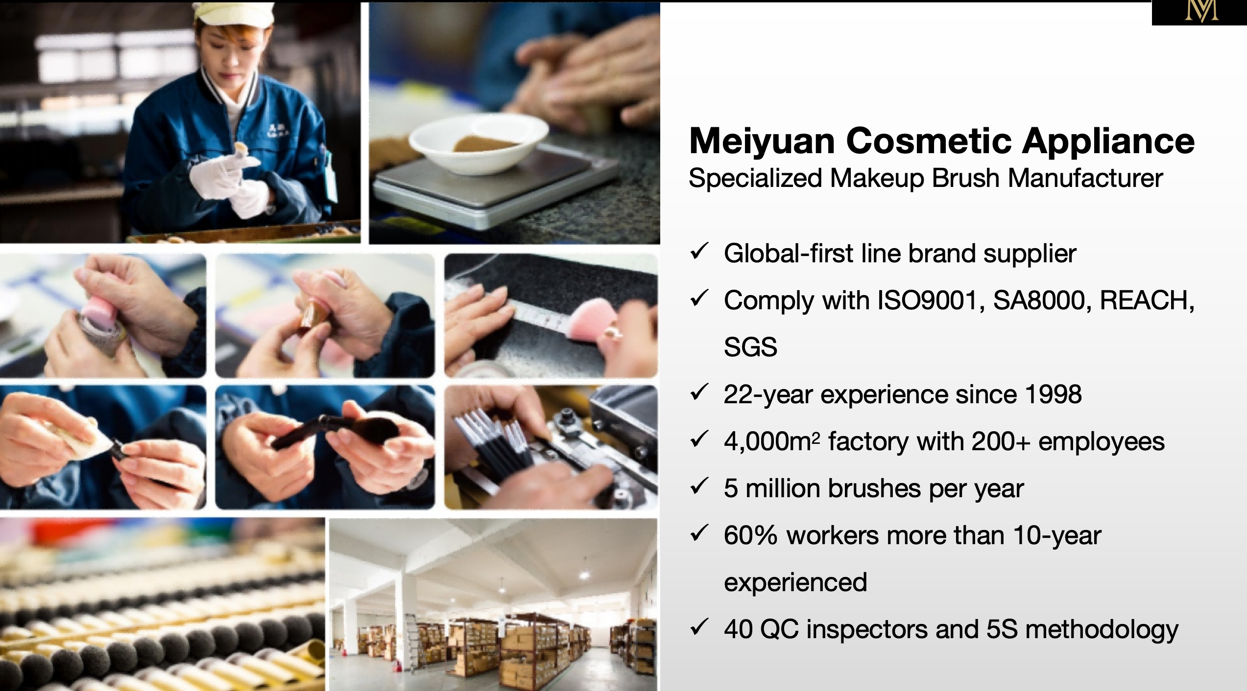 2026 Guide to Choosing a Reliable OEM Makeup Brush Factory